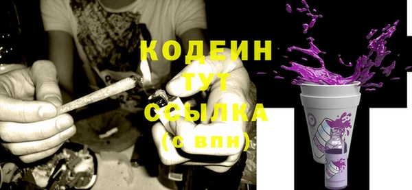 ешки Снежногорск